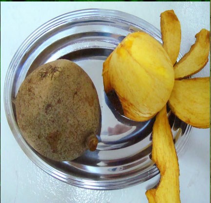 Giống[-]táo[-]Mỹ[-]có[-]hình[-]dáng[-]khá[-]giống[-]quả[-]hồng[-]xiêm[-]đang[-]được[-]ưa[-]chuộng